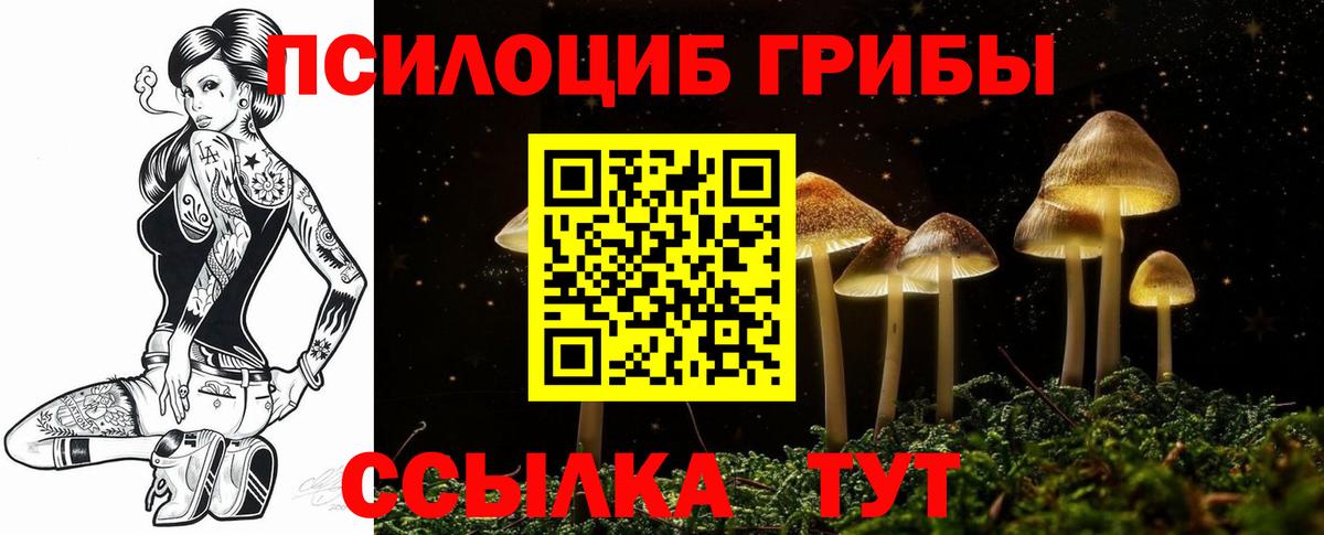 Борзя  Псилоцибиновые грибы Cubensis  Вход с VPN  Псилоцибиновые грибы Cubensis 